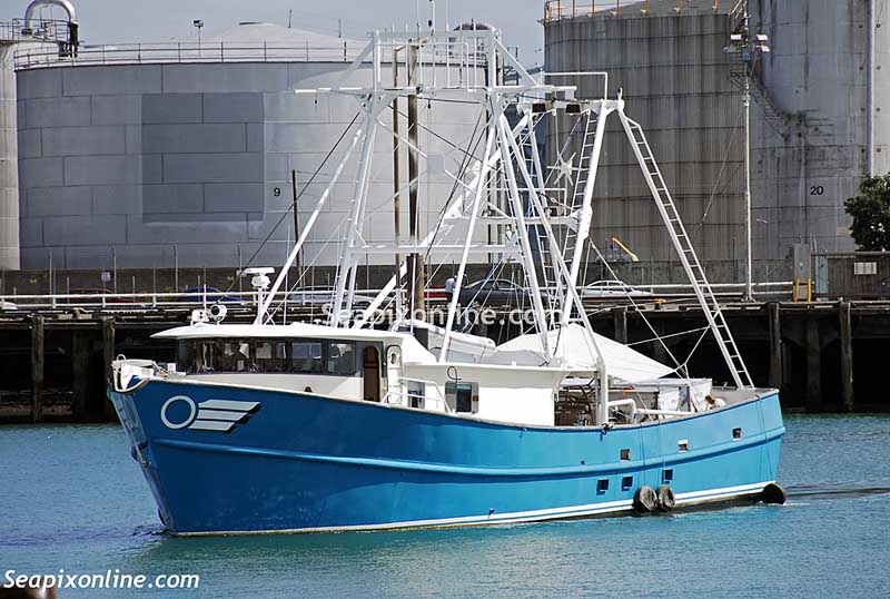 Marlin H.Q. ID 12612